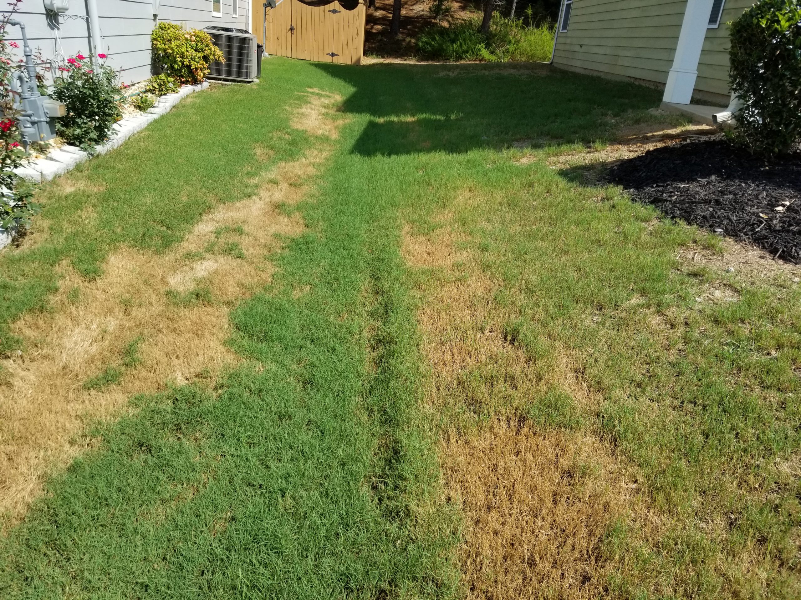 Why is my Lawn Brown After I Mow?