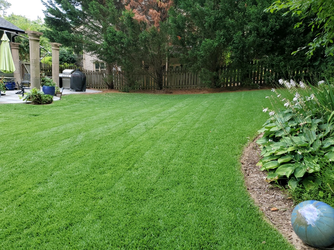 How to Choose Your Sod Type