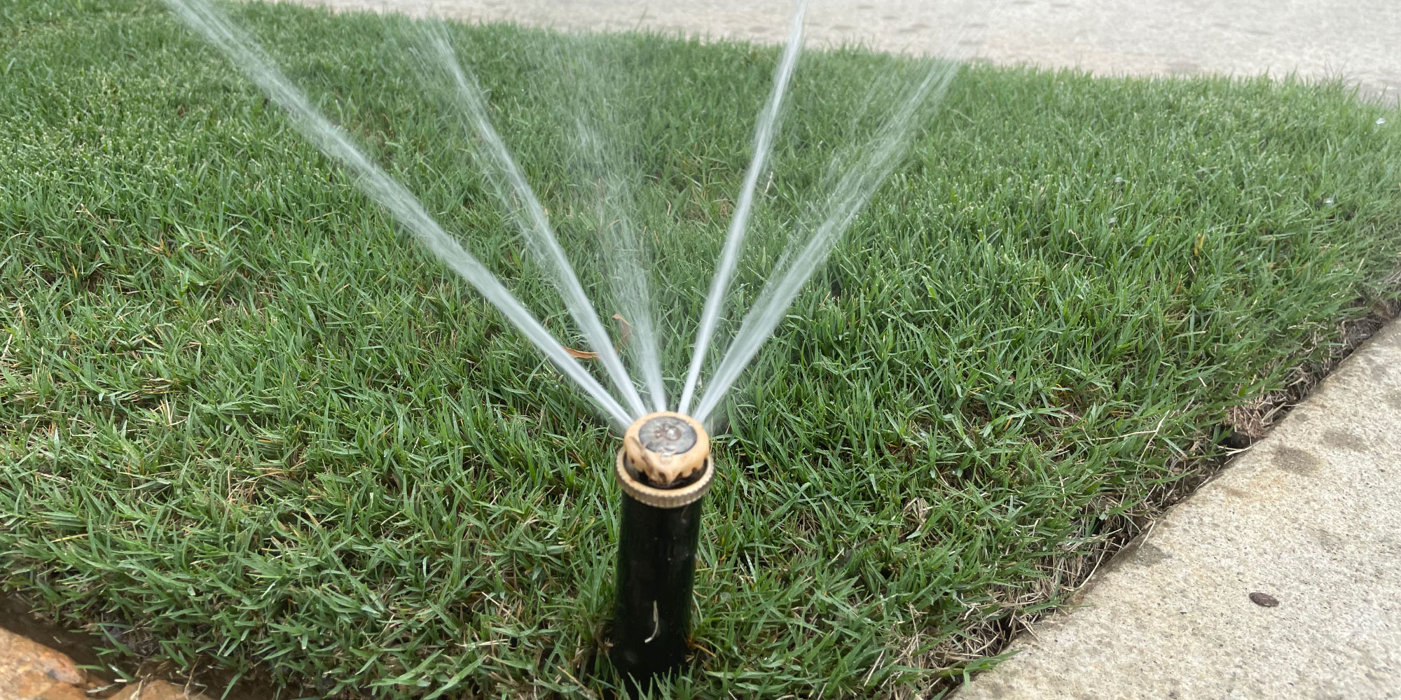 How To Set Your Irrigation Controller