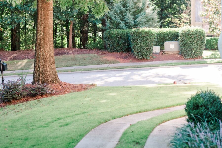 Lush, green lawn with healthy turfgrass and mature trees