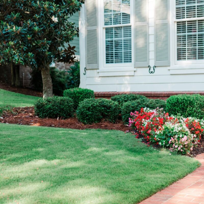 Lush, green lawn surrounded by shrubs, flowers, a magnolia tree, and the front steps of a home