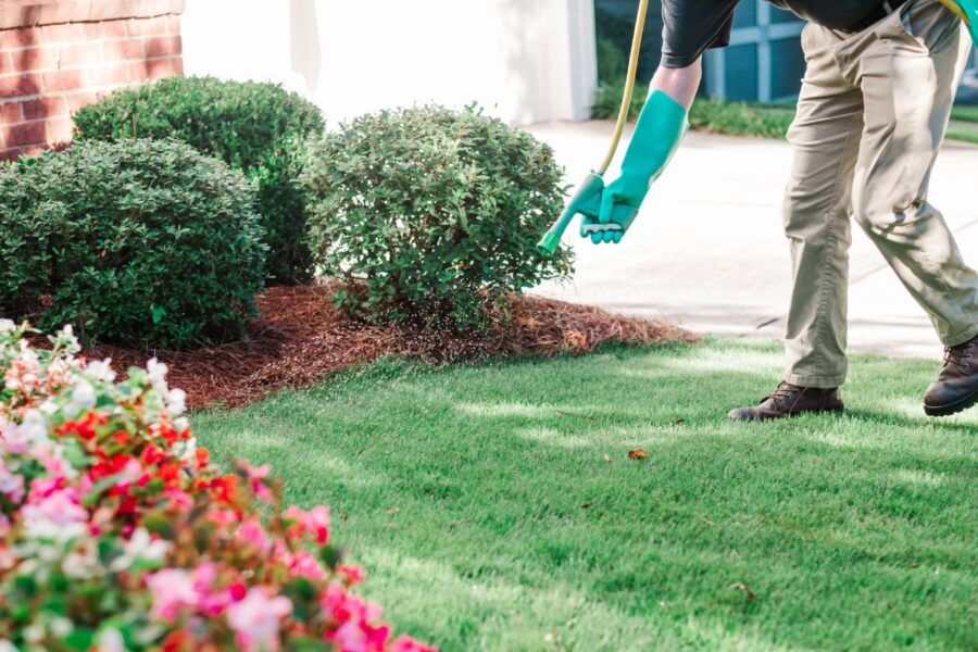 Nature's Turf employee spraying weed control product on green lawn next to bushes and flowers