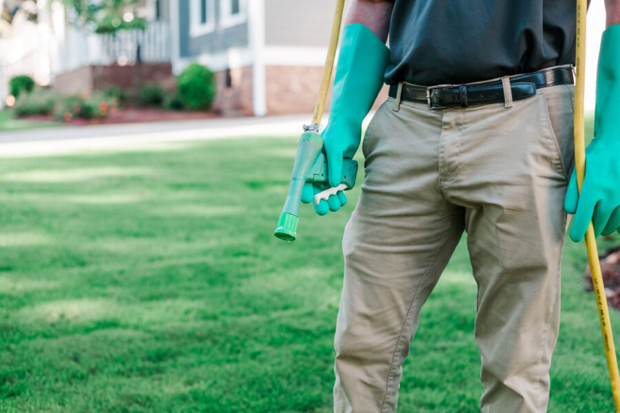 Spraying lawn treatment