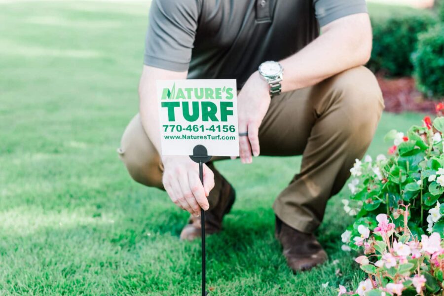 Nature's Turf employee installing Nature's Turf yard sign in a lush, green lawn next to an ornamental shrub
