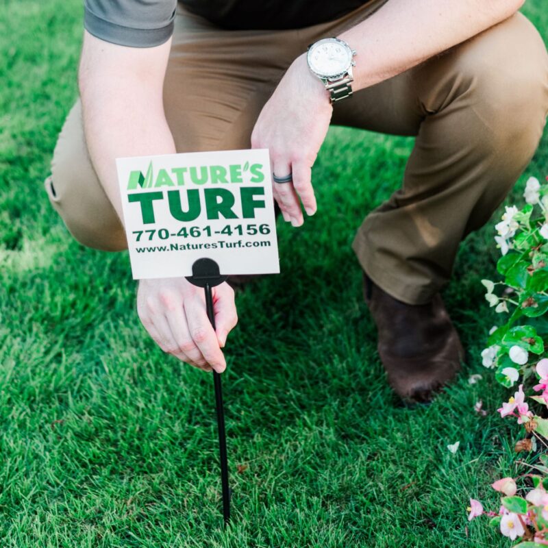 Nature's Turf employee planting a Nature's Turf yard sign in a lush green lawn next to flowers