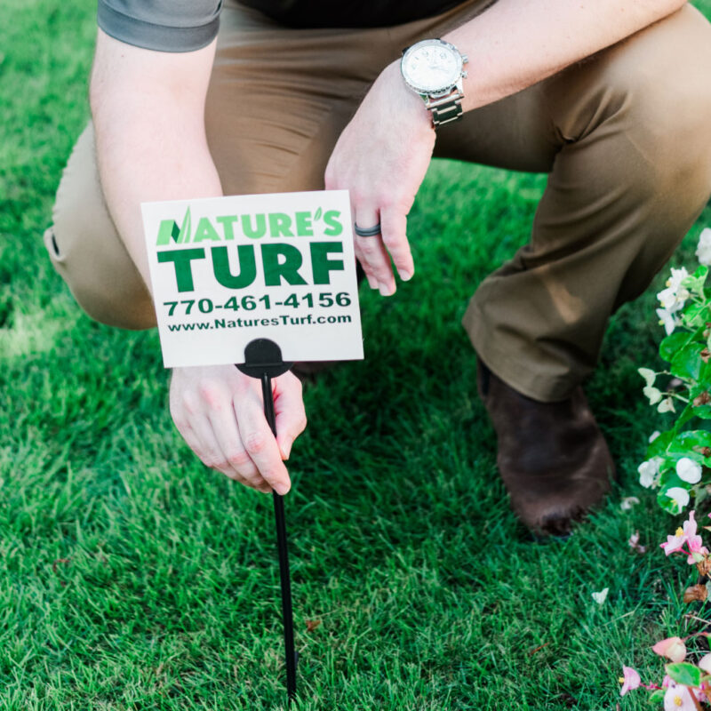 Nature's Turf employee squatting over turf