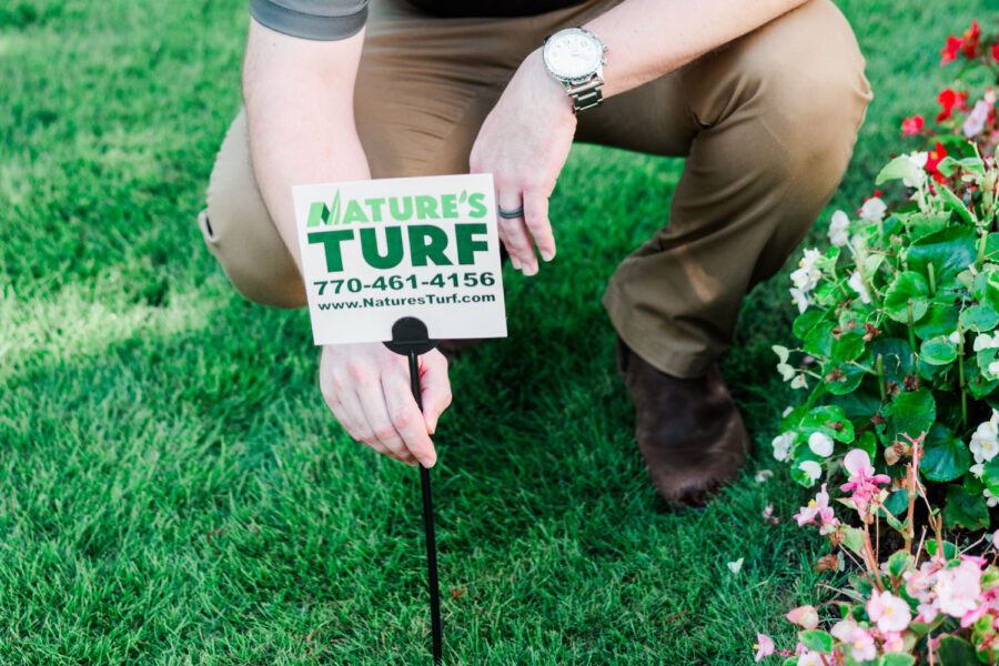 Nature's Turf employee squatting over turf
