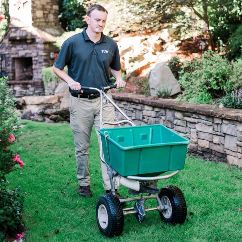 lawn care specialist pushing seed spreader