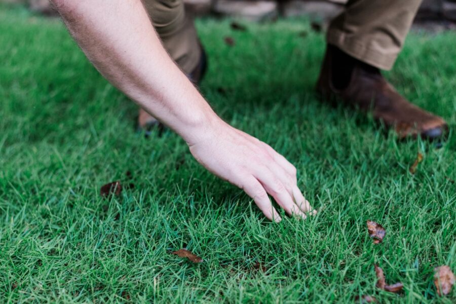 Nature's Turf employee inspecting grass and weeds in yard