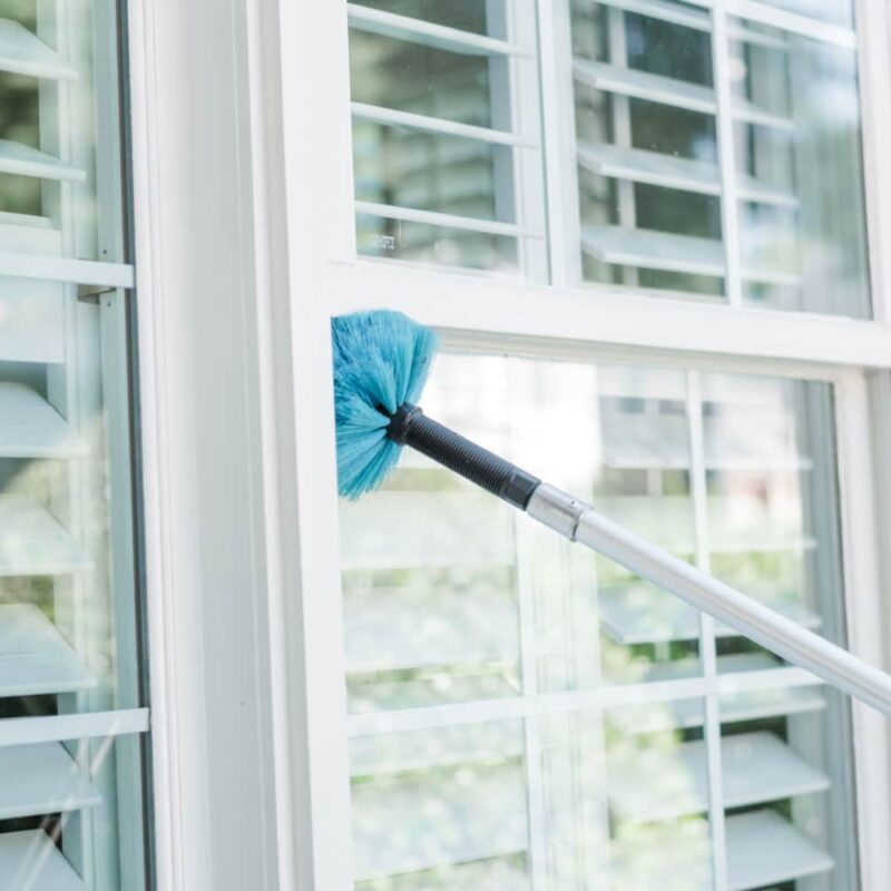 Long-handled brush cleaning spider webs from a window in a residential home