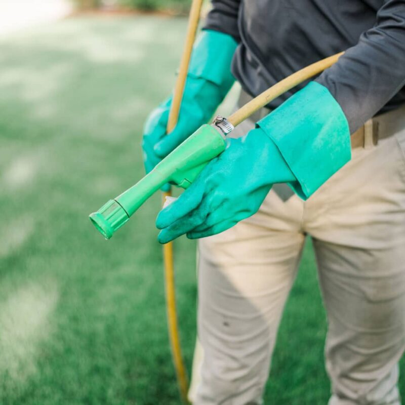 Nature's Turf employee with gloves on treating a lawn that contains Dollar Spot.
