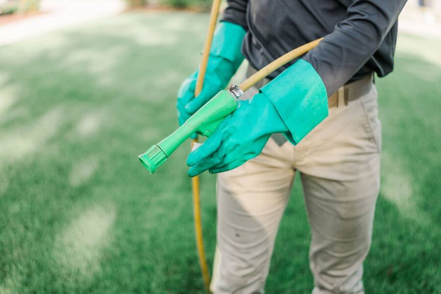 Nature's Turf employee with gloves on treating a lawn that contains Dollar Spot.