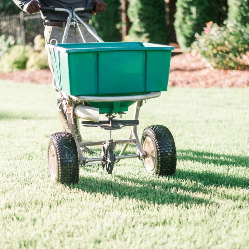Nature's Turf employee applying limestone to a green lawn using a lawn product wheelbarrow applicator