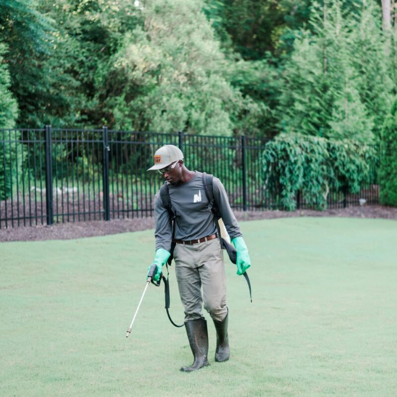 Nature's Turf employee spraying weed control products on a manicured green lawn surrounded by a black gate and mature trees.