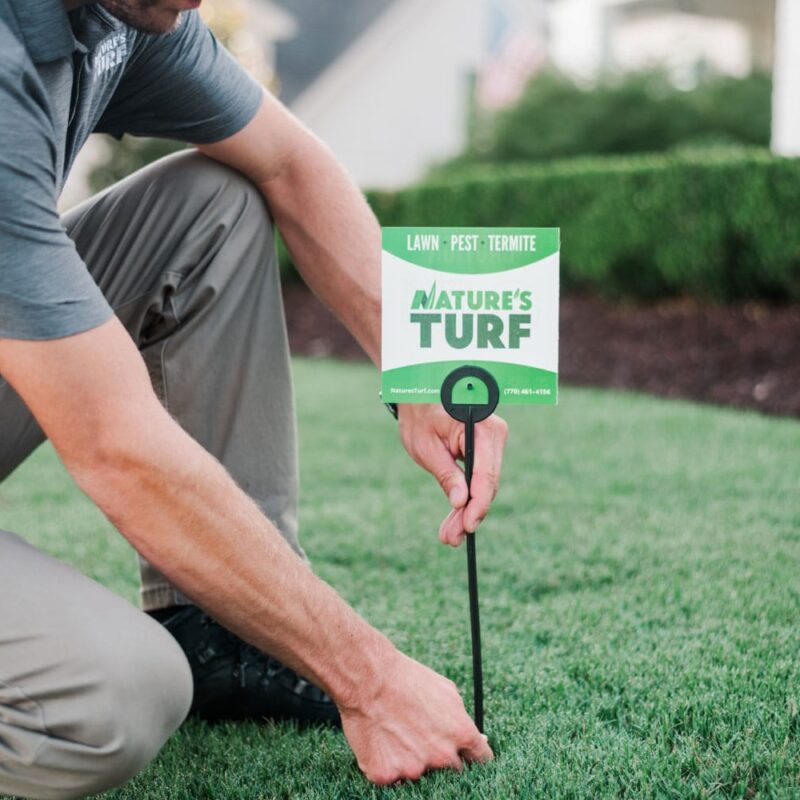 Nature's Turf employee planting company sign in a lush green lawn with hedges and a white home in the background