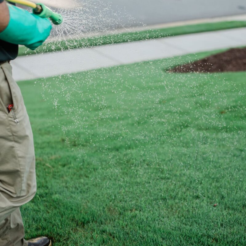 person treating sod by watering it
