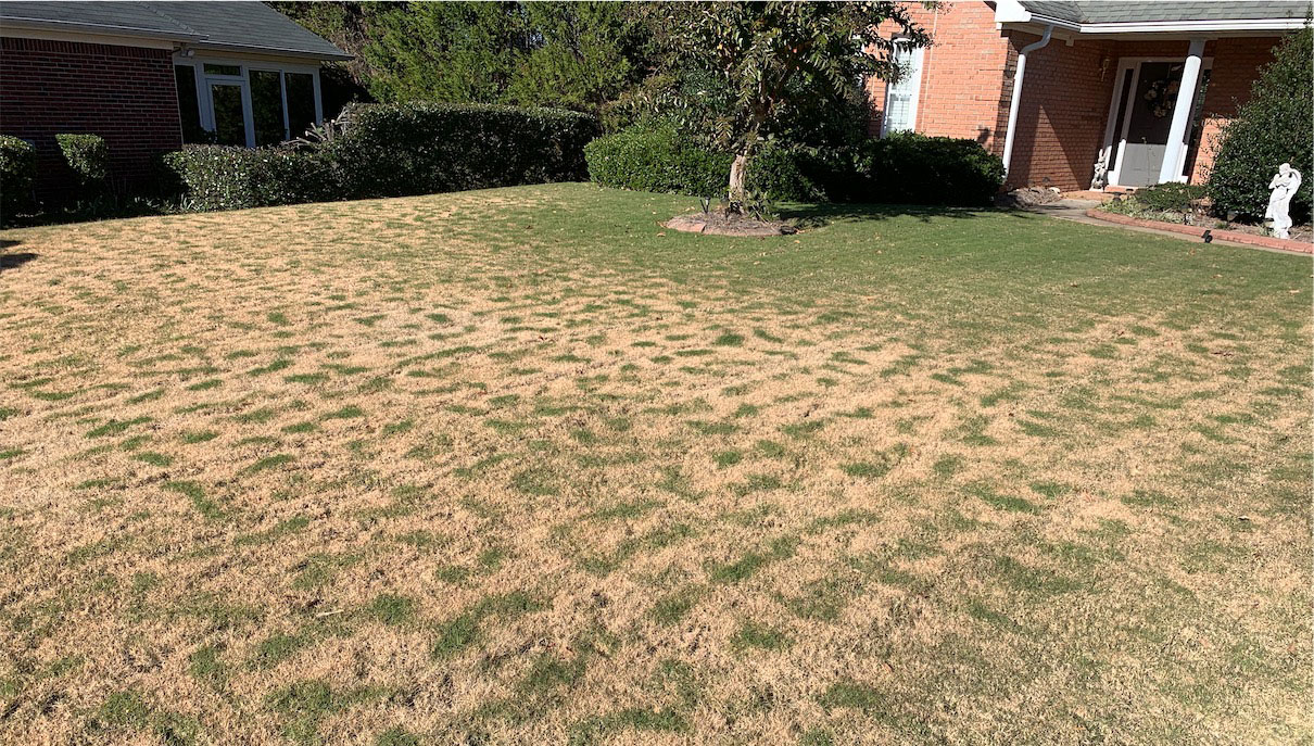 Why Do I Have a Patchy Lawn after Frost?