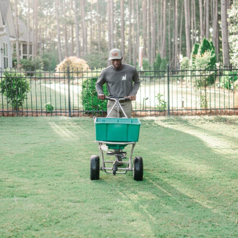 Nature's Turf employee spreading seed on a beautiful, green lawn in the backyard of a home with a wrought iron fence
