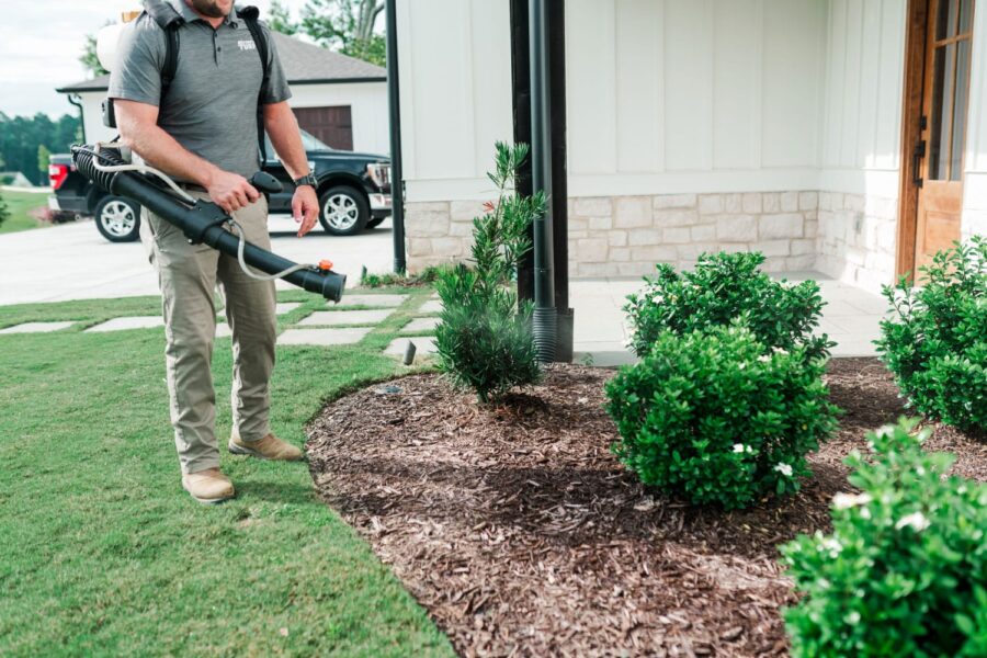 Nature's Turf employee spraying mosquito treatment products in a natural area of a green lawn on shrubs surrounded by mulch