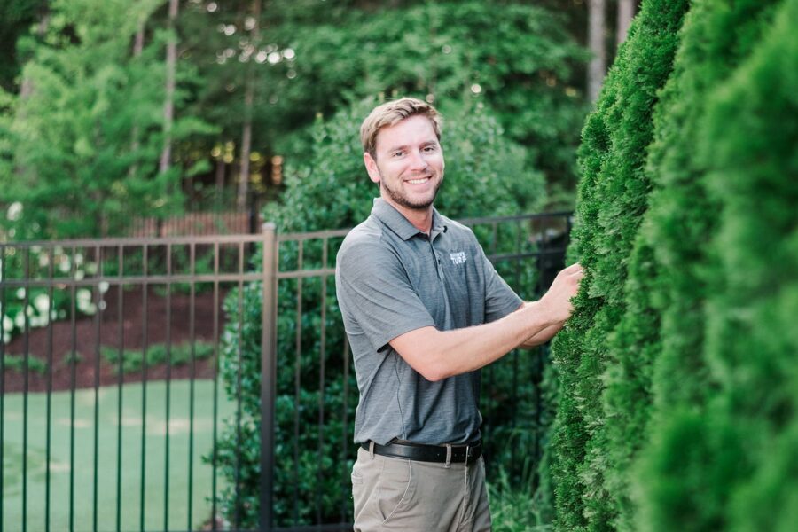 Nature's Turf employee holding on to a tall, dark green ornamental tree in a mulched plant bed next to a lush green lawn with a wrought-iron fence