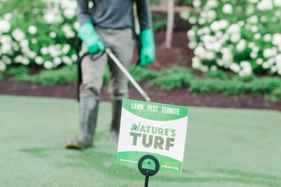 Nature's Turf employee applying lawn care products via a hose to a lush green lawn with white flowering shrubs and focusing on a Nature's Turf lawn sign in the grass