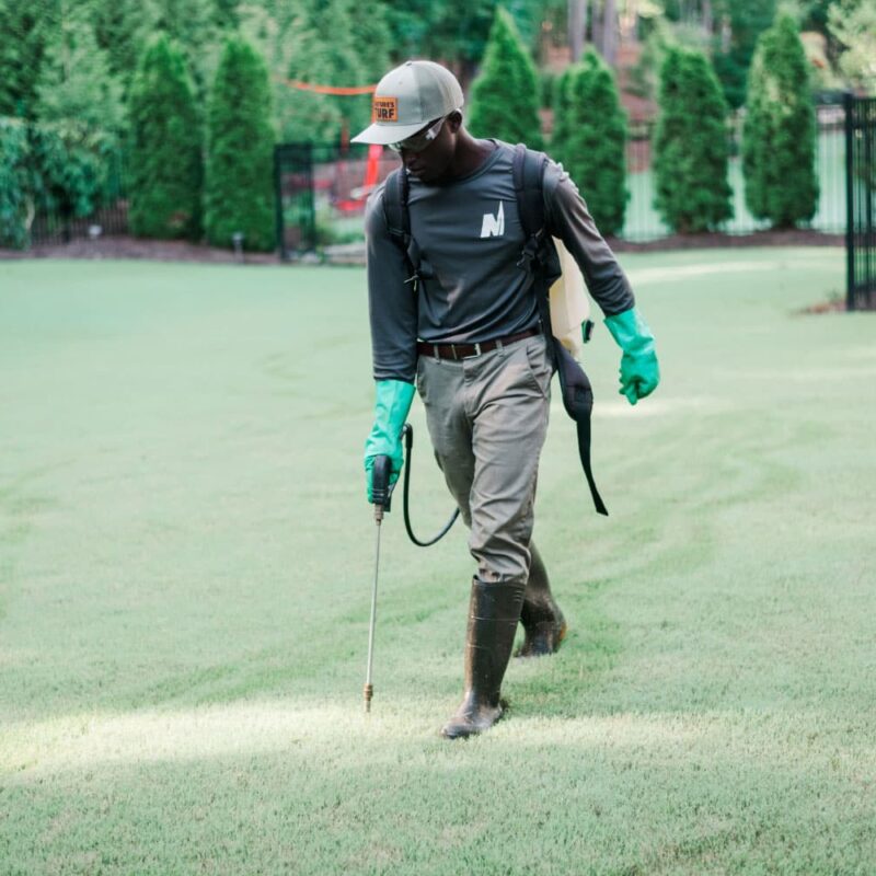 Nature's Turf employee treating a lush, green lawn surrounded by a black metal fence and ornamental trees and shrubs.