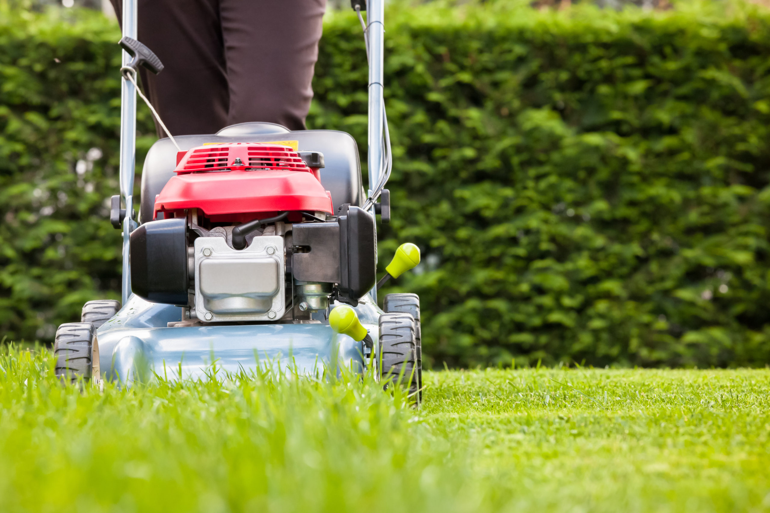 How Mowing Can Help Us Help You