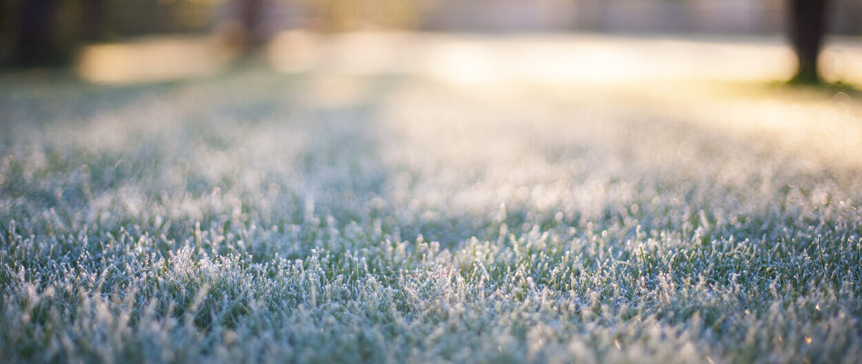 3 Ways to Keep Your Lawn Healthy During Winter