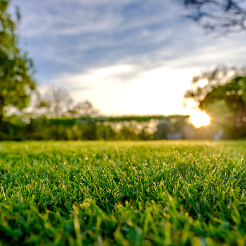 Majestic sunset seen in late spring, showing a recently cut and well maintained large lawn in a rural location.