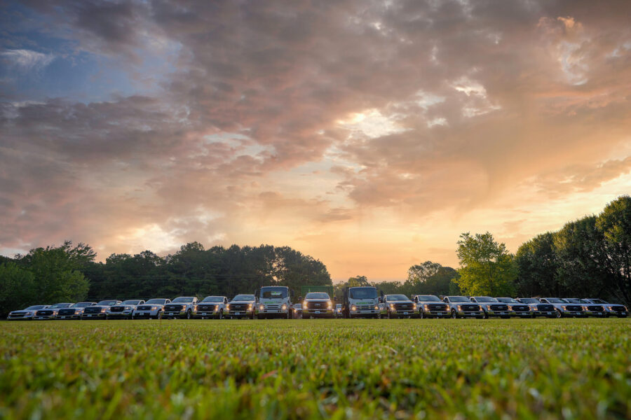 trucks and grass