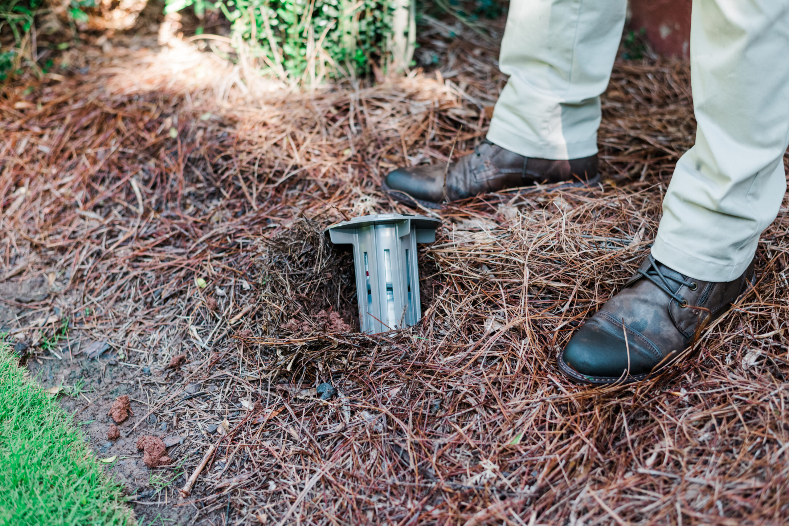 Termite Bait Stations: What Do They Actually Do?