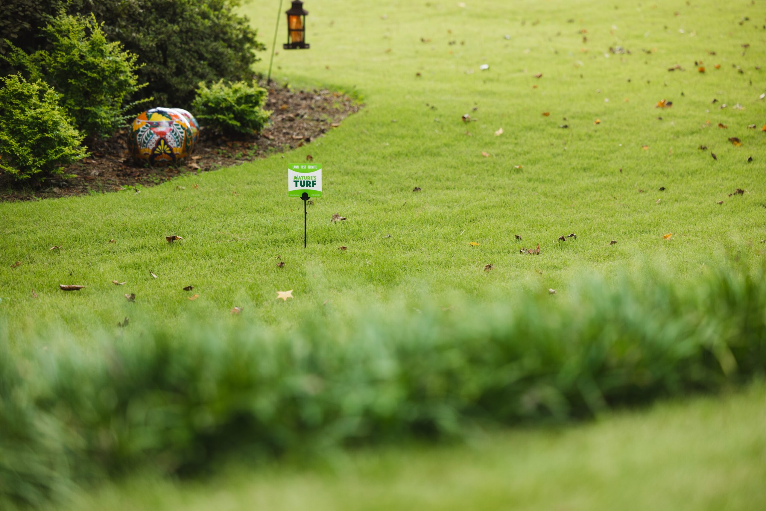 What Should You Put on Your Georgia Grass In The Fall?